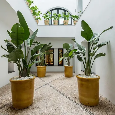 Mate Collection Valeria, 4* Malaga